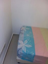 One Oxley Rise (D9), Apartment #579655771